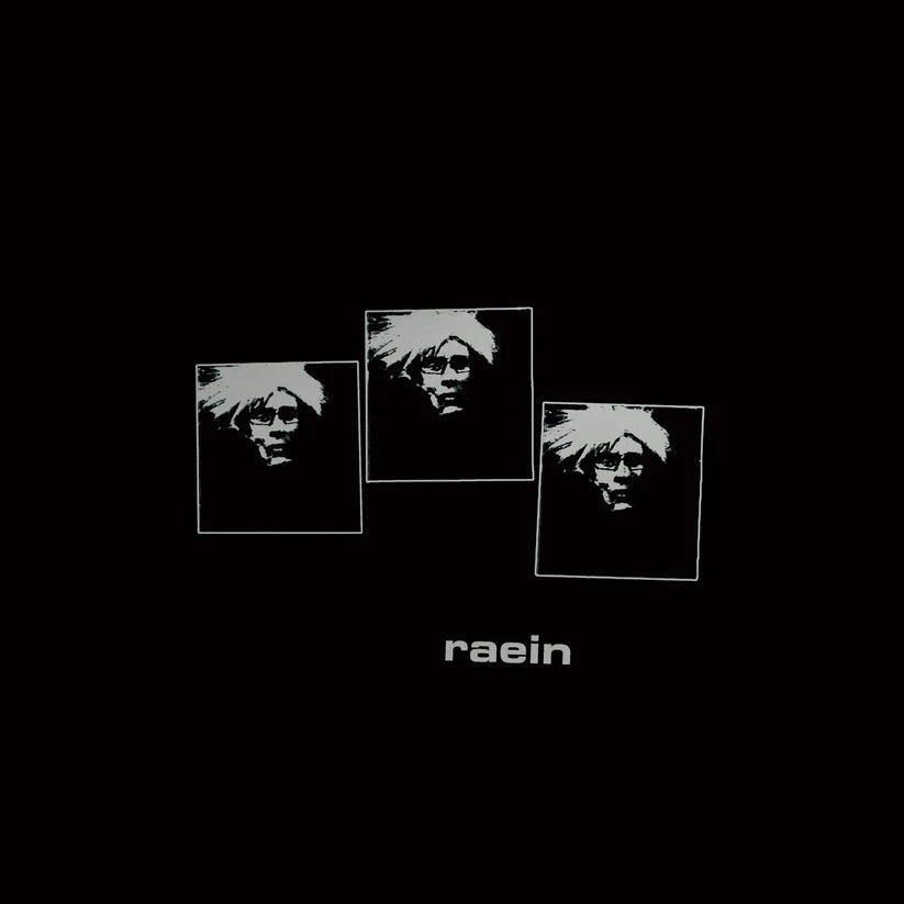 Raein – Il N&#39;y A Pas De Orchestre LP
