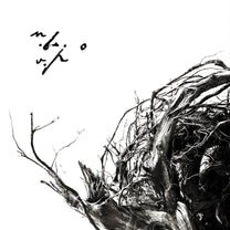 Negura Bunget – Virstele Pamintului LP