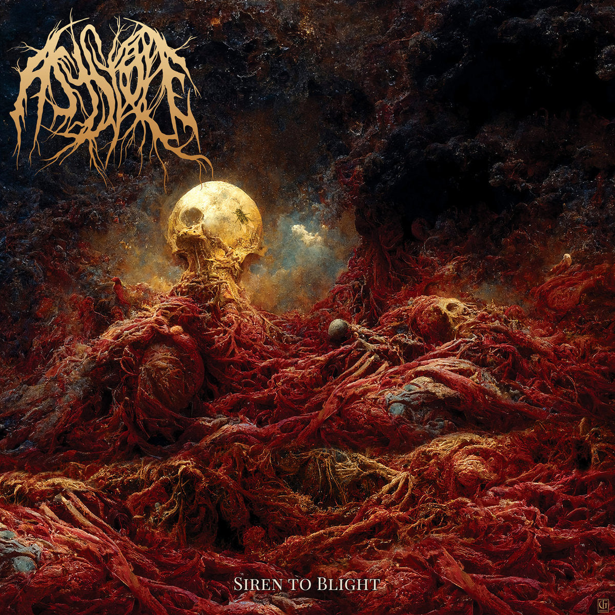 Asystole – Siren To Blight LP