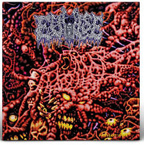 Evulse – Pustulant Spawn LP