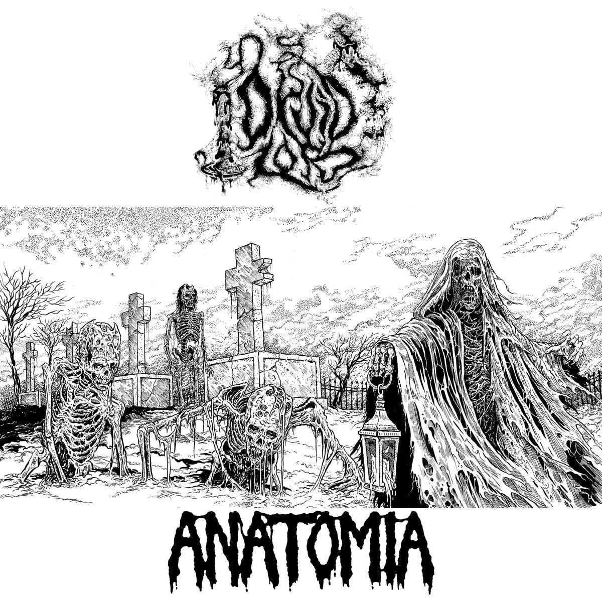 Druid Lord / Anatomia – Beyond Putrefaction / Horrid Fate 7&quot;