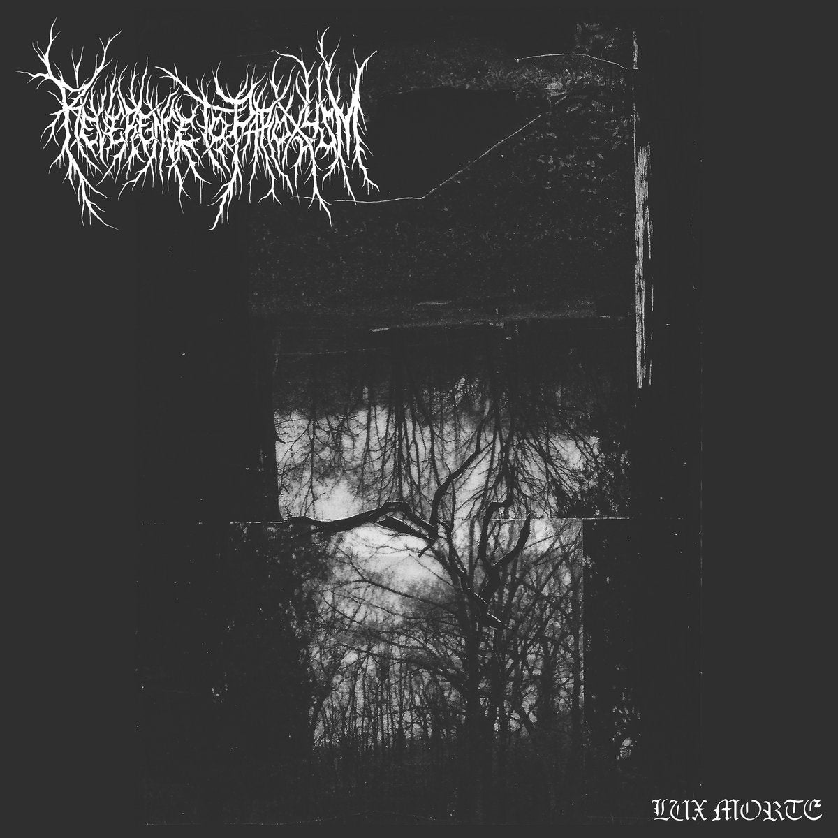 Reverence to Paroxysm – Lux Morte LP