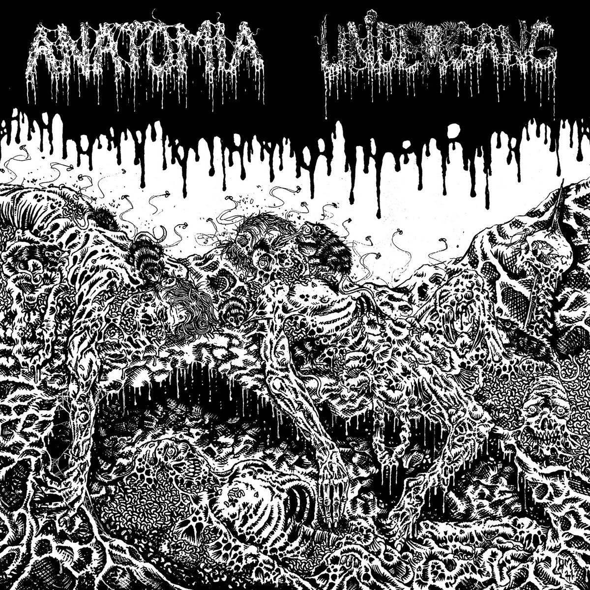 Anatomia / Undergang – S/T Split CD