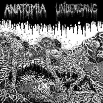 Anatomia / Undergang – S/T Split CD