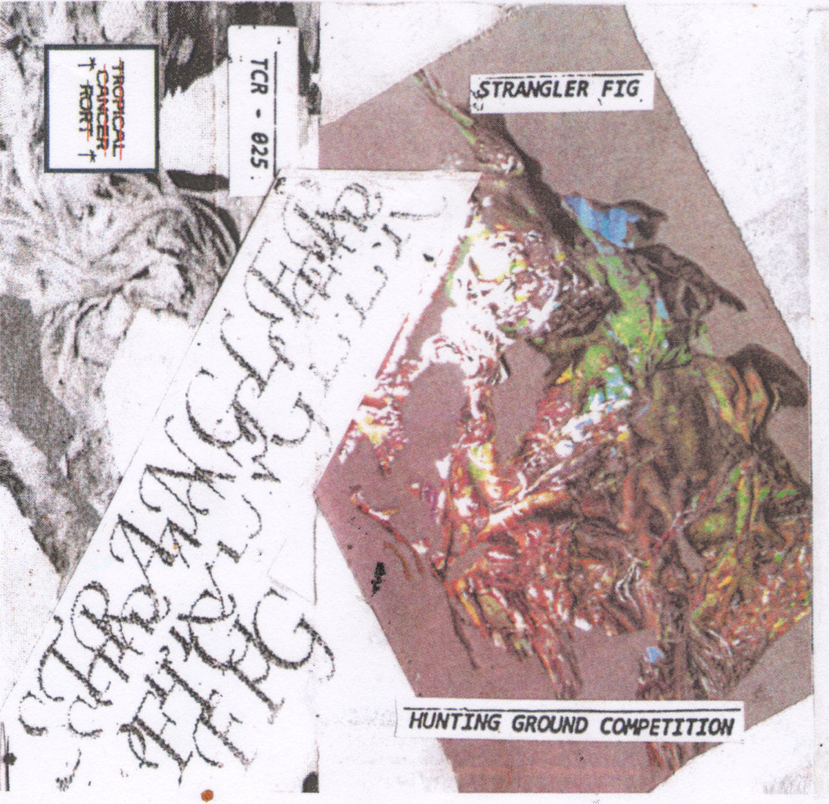 Strangler Fig – Hunting Ground Competition MC