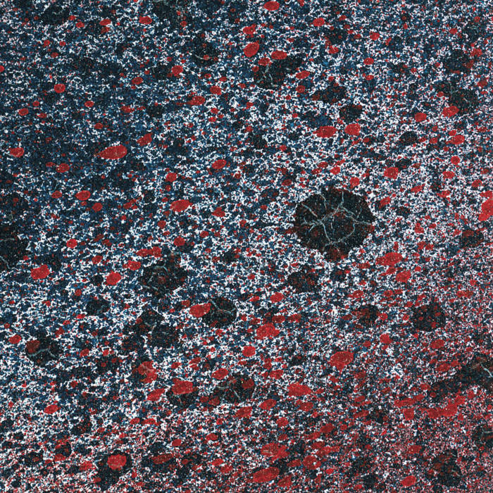 Leitmotiv Limbo – Superior State LP
