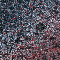 Leitmotiv Limbo – Superior State LP