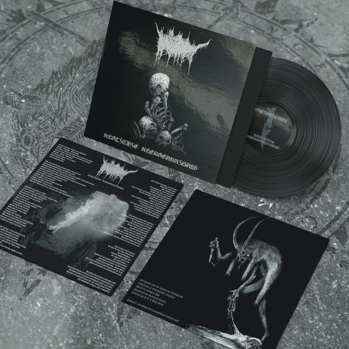Vicissitude – Neolithic Necrocannibals LP
