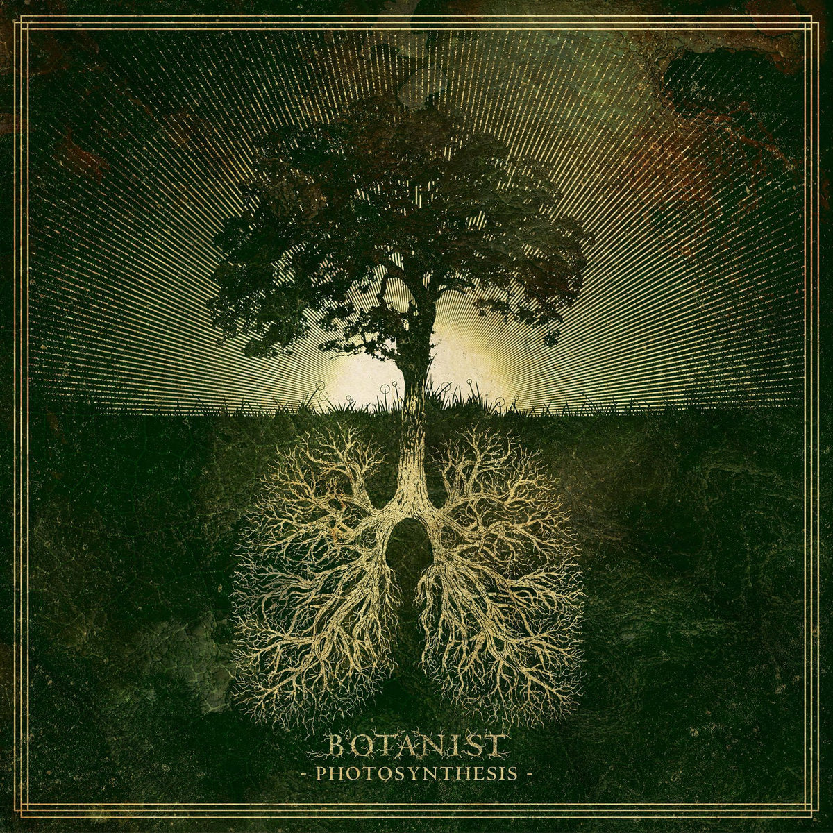 Botanist – Photosynthesis LP