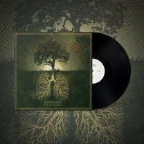 Botanist – Photosynthesis LP