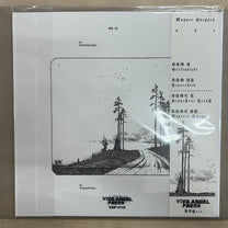 Wagner Ödegård – Øðe LP (Rare / Used, NM)