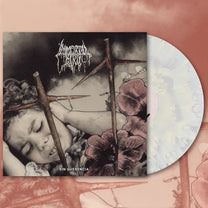 Immortal Bird – Sin Querencia LP