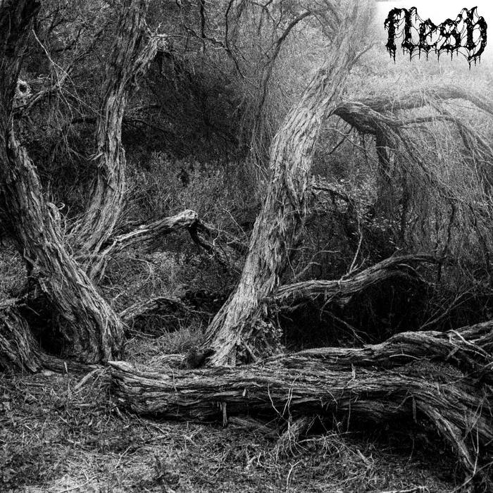 Slowcut – Flesh LP