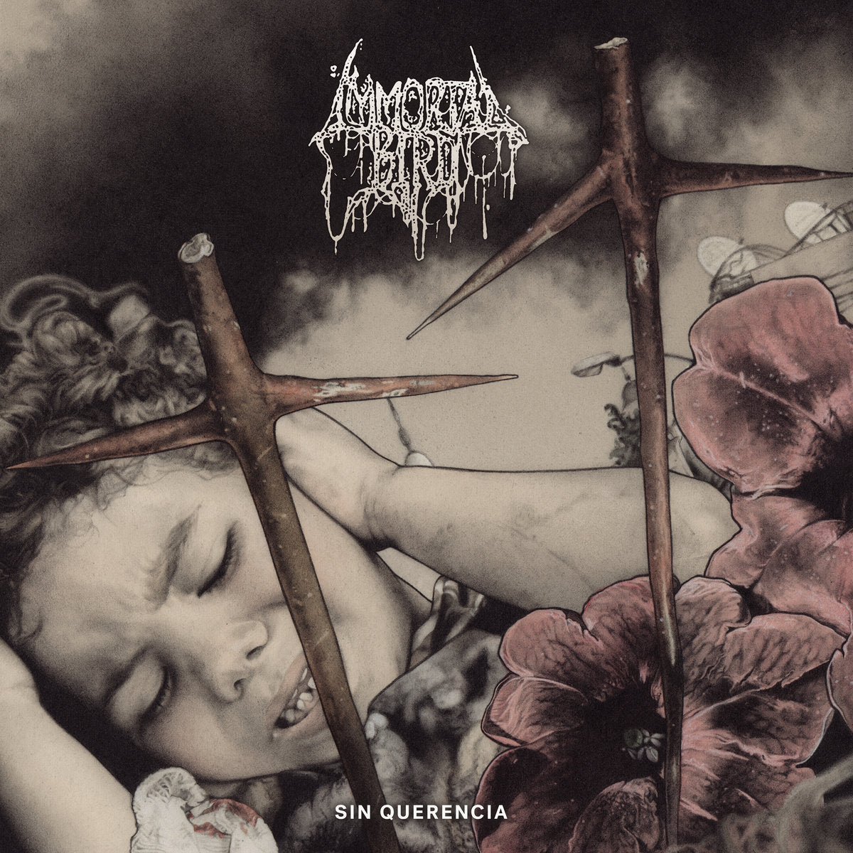 Immortal Bird – Sin Querencia LP