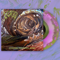 Fetid – Steeping Corporeal Mess LP
