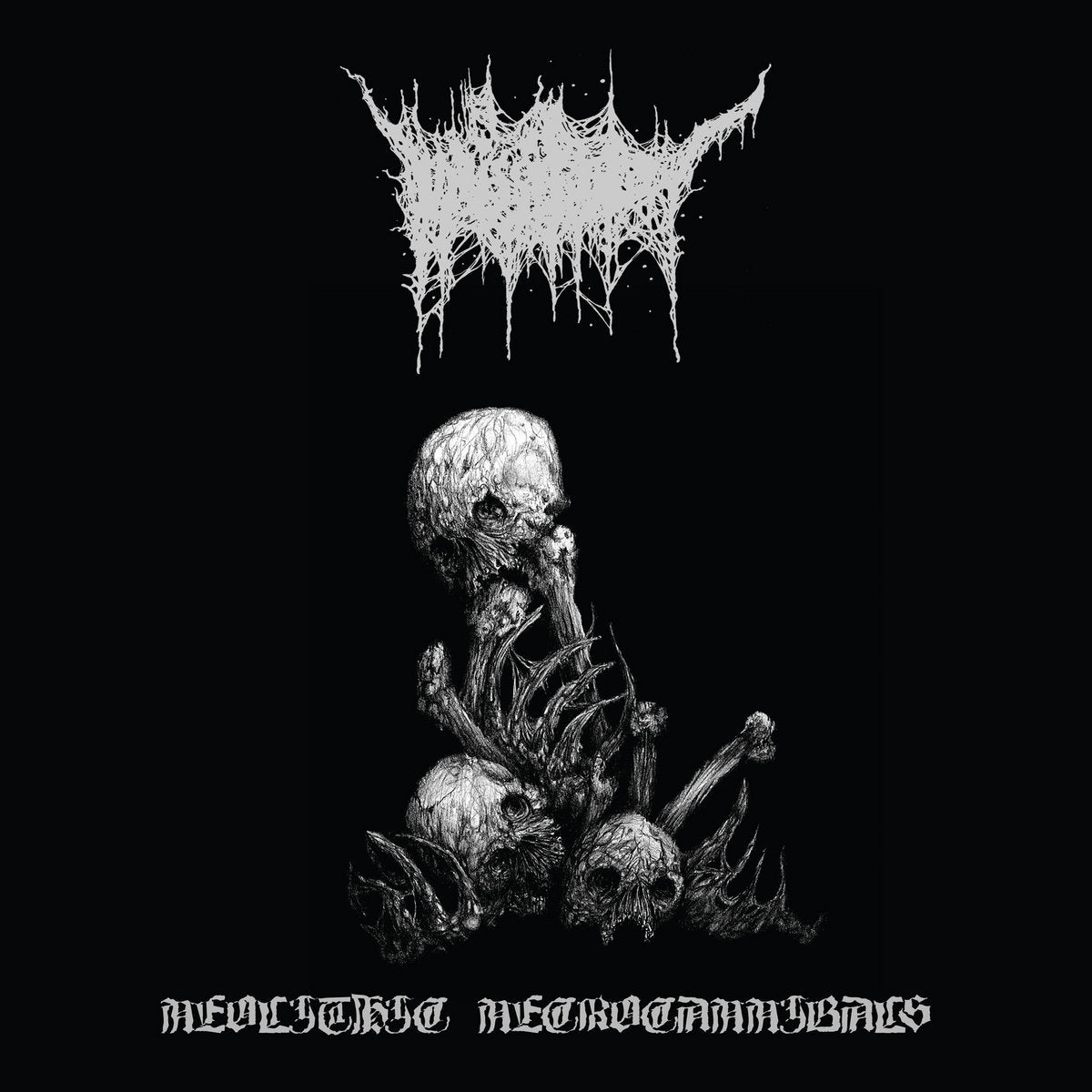 Vicissitude – Neolithic Necrocannibals LP