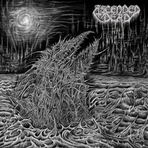 Ascended Dead – Abhorrent Manifestation LP