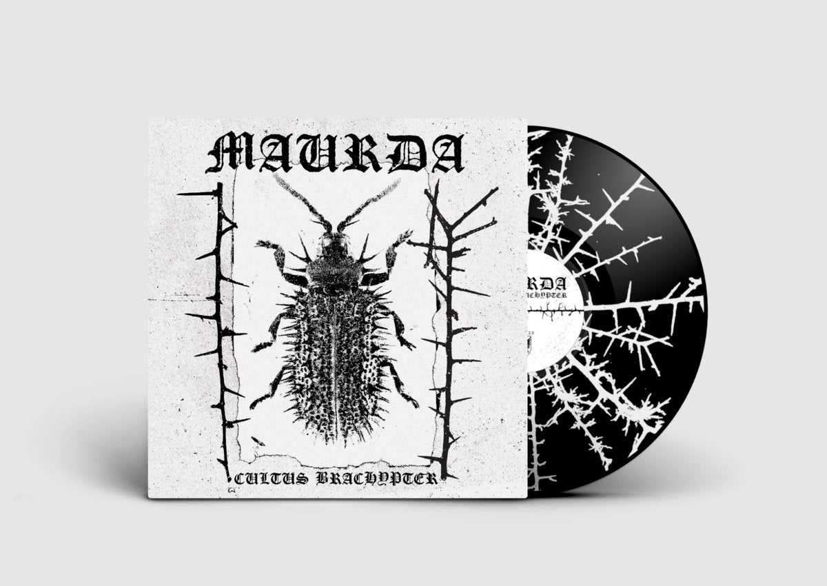 Maurda – Cultus Brachypter LP