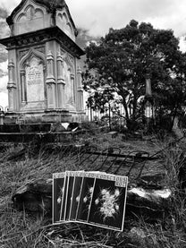 Conscious Rot, issue #1