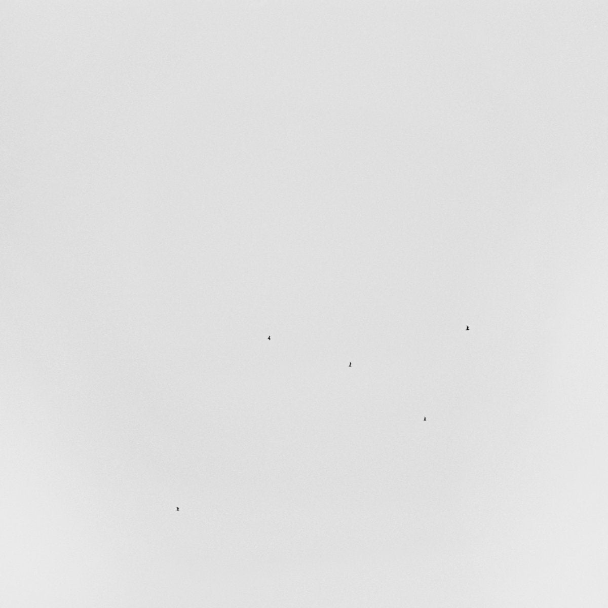 Todd Anderson-Kunert – Conjectures LP