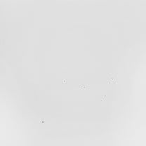 Todd Anderson-Kunert – Conjectures LP