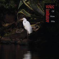 Voice Imitator – Of How Hits LP