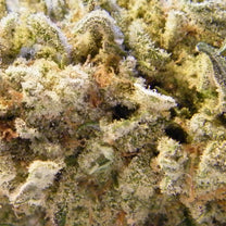 Dope Smoker – Marijuana LP