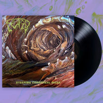 Fetid – Steeping Corporeal Mess LP