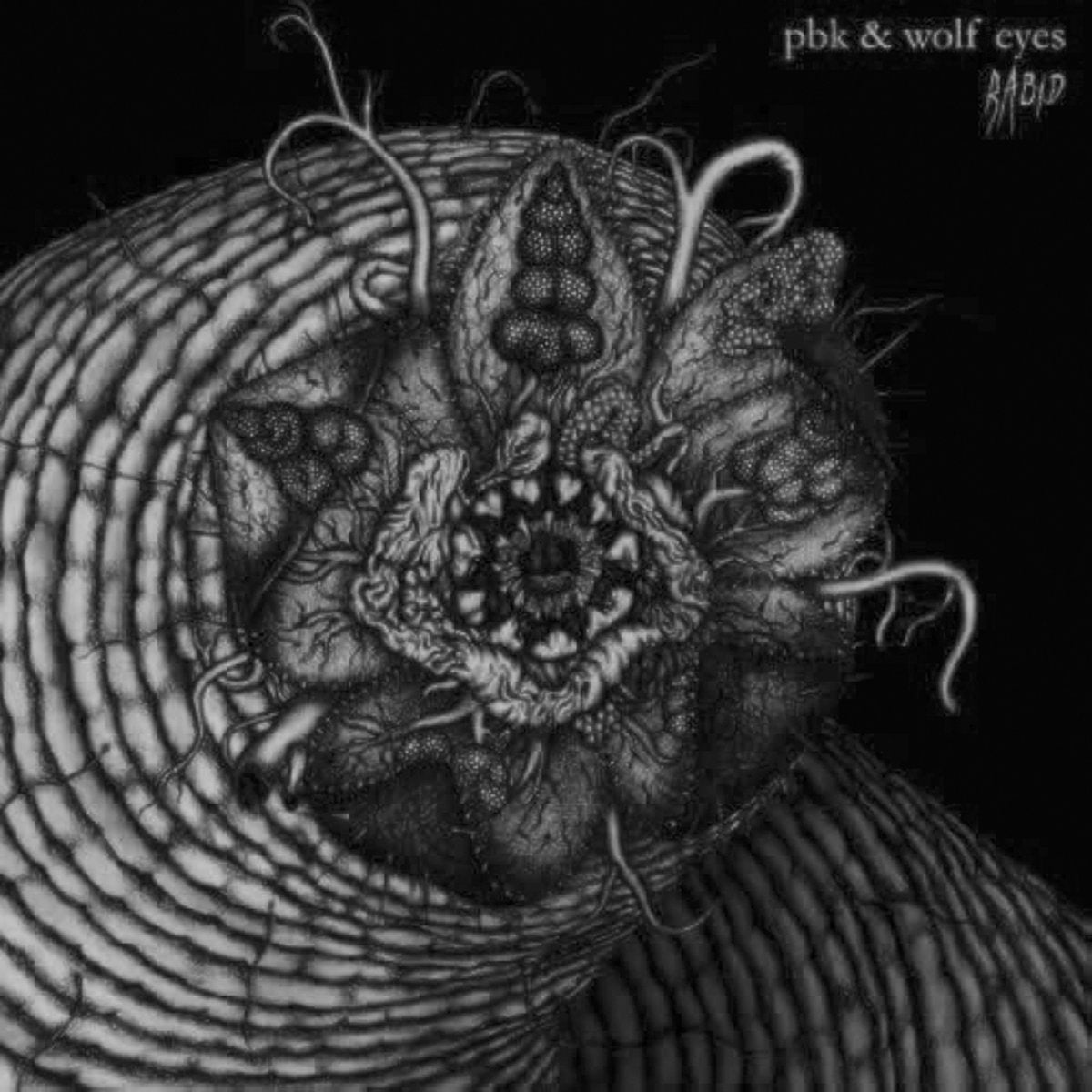 PBK &amp; Wolf Eyes – Rabid LP