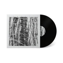 Scarcity – Aveilut LP