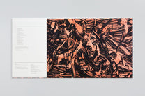 Oren Ambarchi &amp; Martin Ng feat. Ensemble Offspring – The Vanishing LP