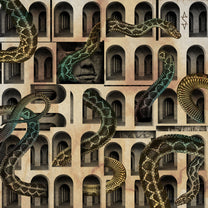 -S- – Dom, W Którym Mieszkał Wąż (A House Where Dwelled A Snake) LP