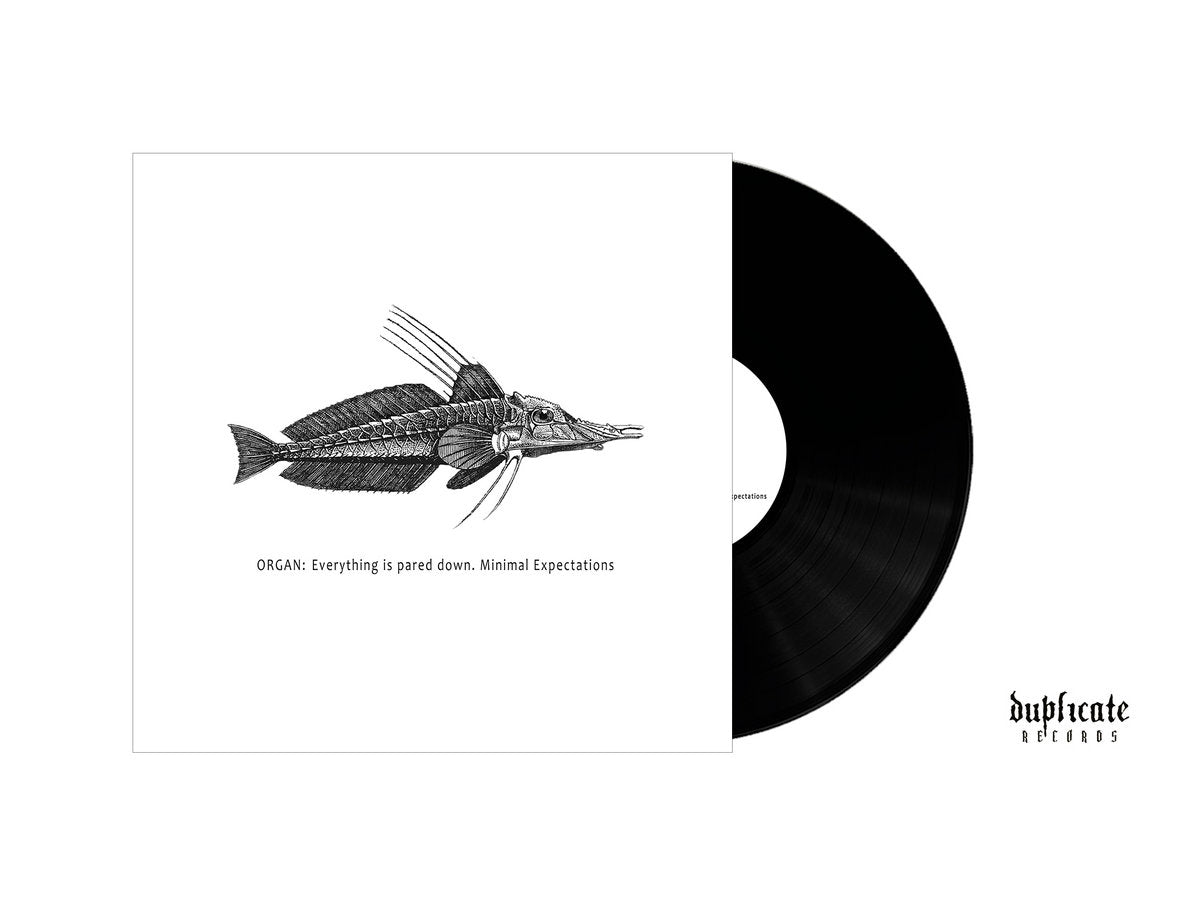 Organ: – Everything Is Pared Down. Minimal Expectations LP