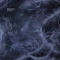 Bleakwood – Solypsis LP