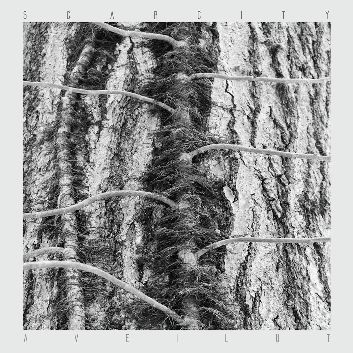 Scarcity – Aveilut LP