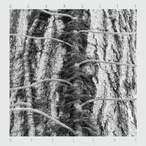 Scarcity – Aveilut LP