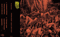 Hissing – Permanent Destitution MC