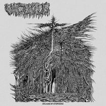 Vacuous – Dreams Of Dysphoria LP