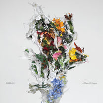 Big|Brave – A Chaos Of Flowers LP