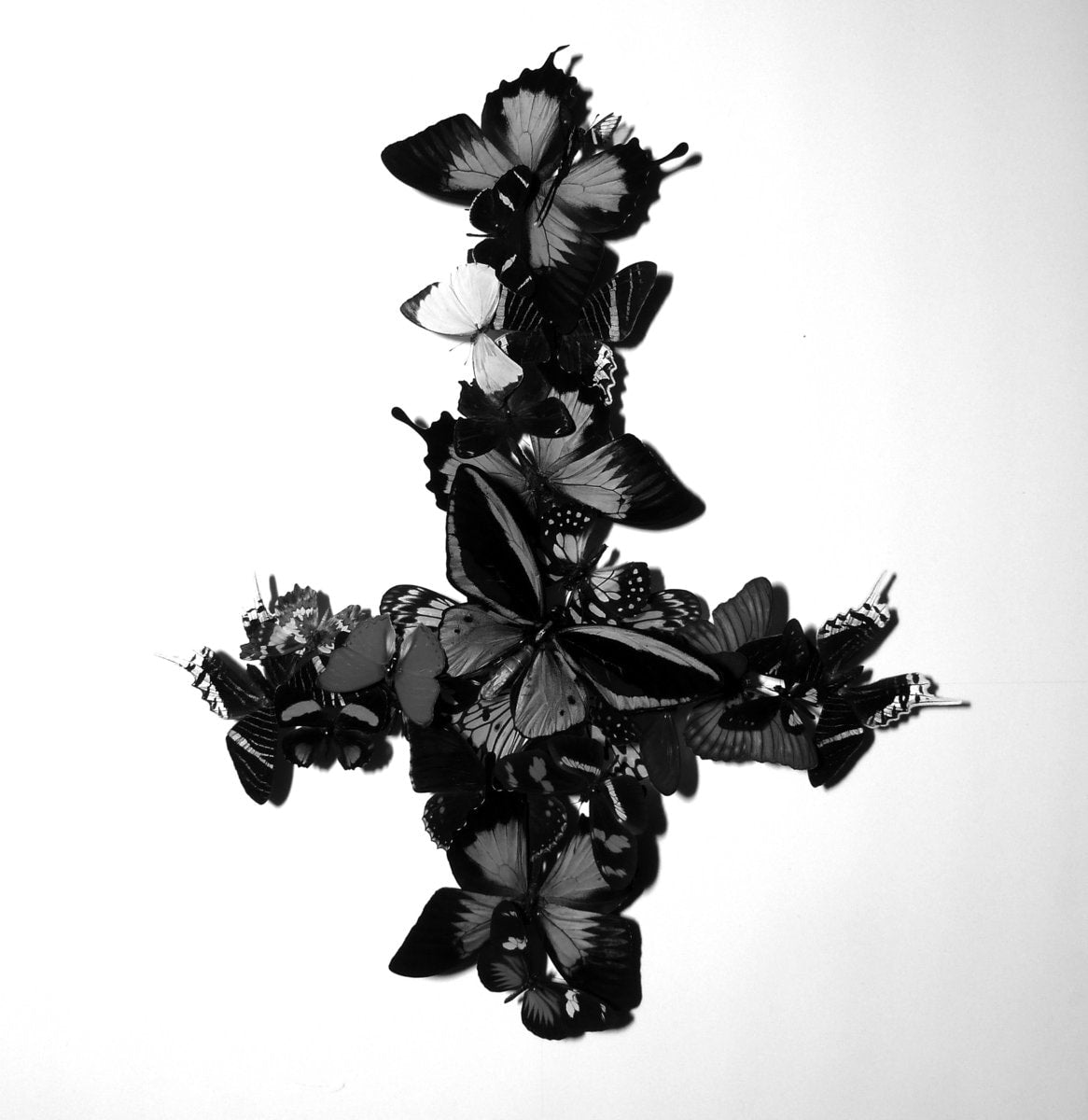 Monarch – Never Forever LP