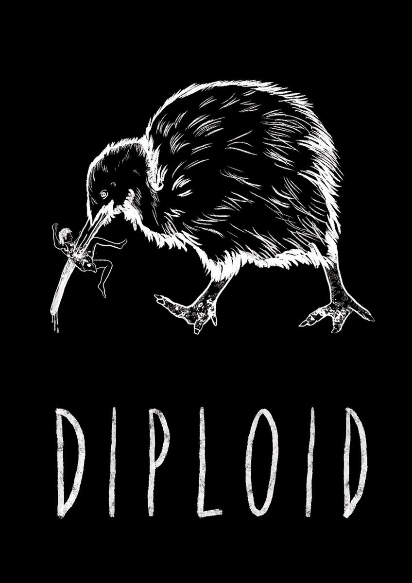 Diploid, &#39;Aotearoa Killer Kiwi&#39; T-Shirt