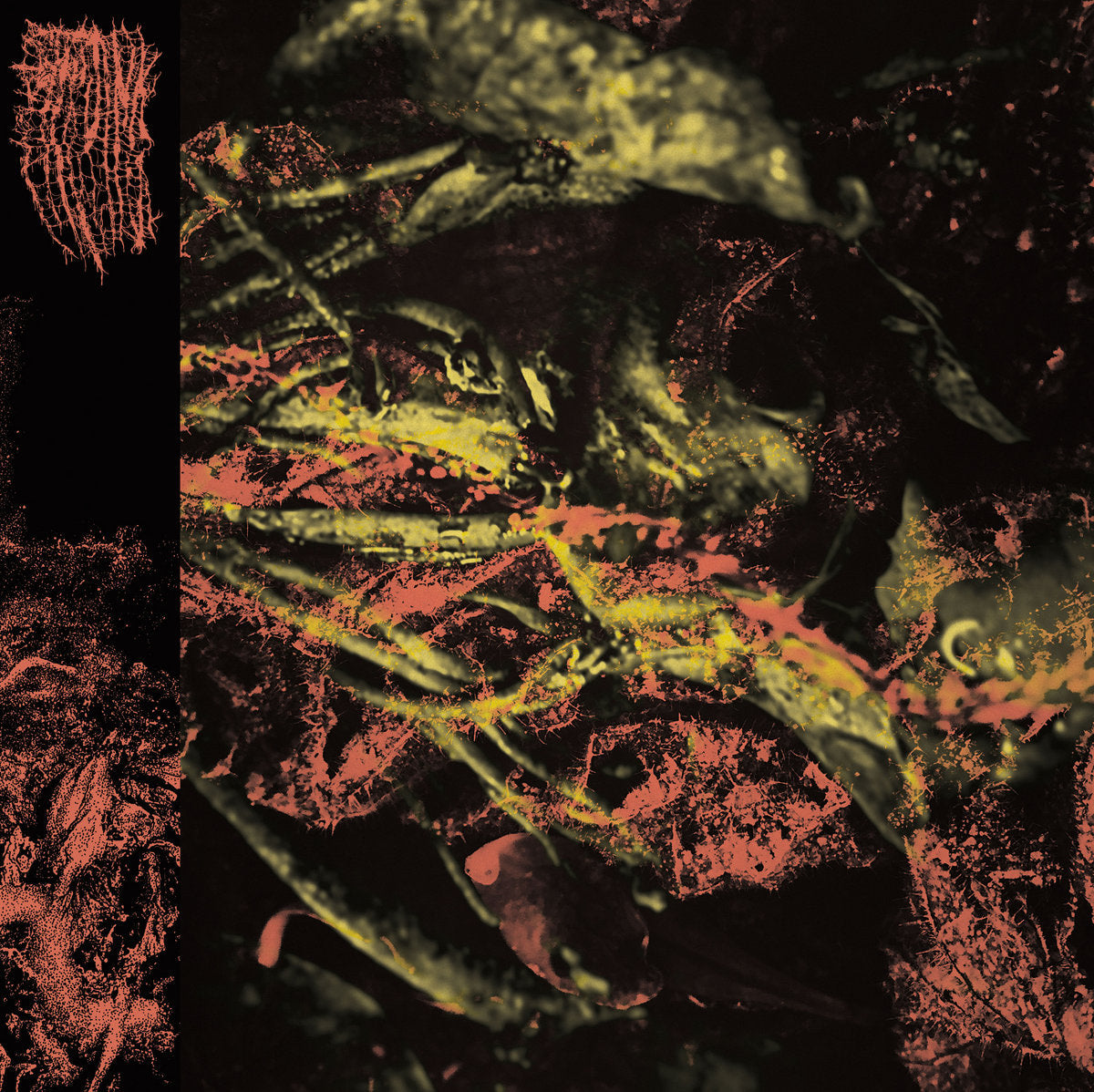 Hissing – Permanent Destitution LP