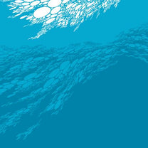 Boris – Flood 2LP