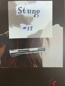 Stung, Issue #17 BK / Zine