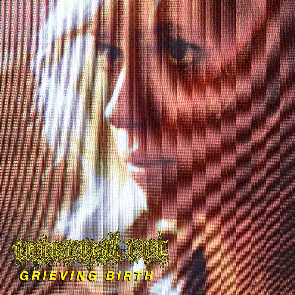 Internal Rot – Grieving Birth LP