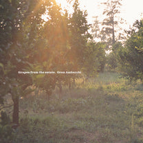 Oren Ambarchi – Grapes From The Estate LP