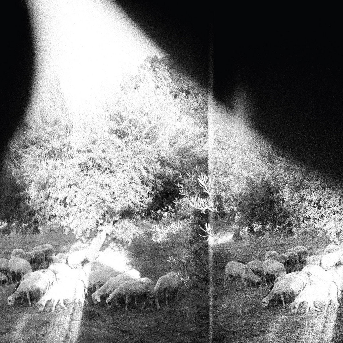 Godspeed You! Black Emperor – Asunder, Sweet And Other Distress LP