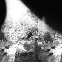 Godspeed You! Black Emperor – Asunder, Sweet And Other Distress LP
