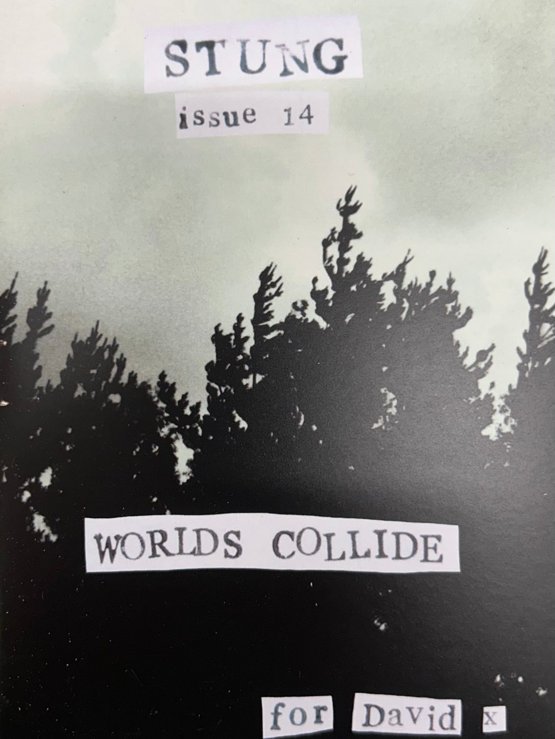 Stung, Issue #14 BK / Zine