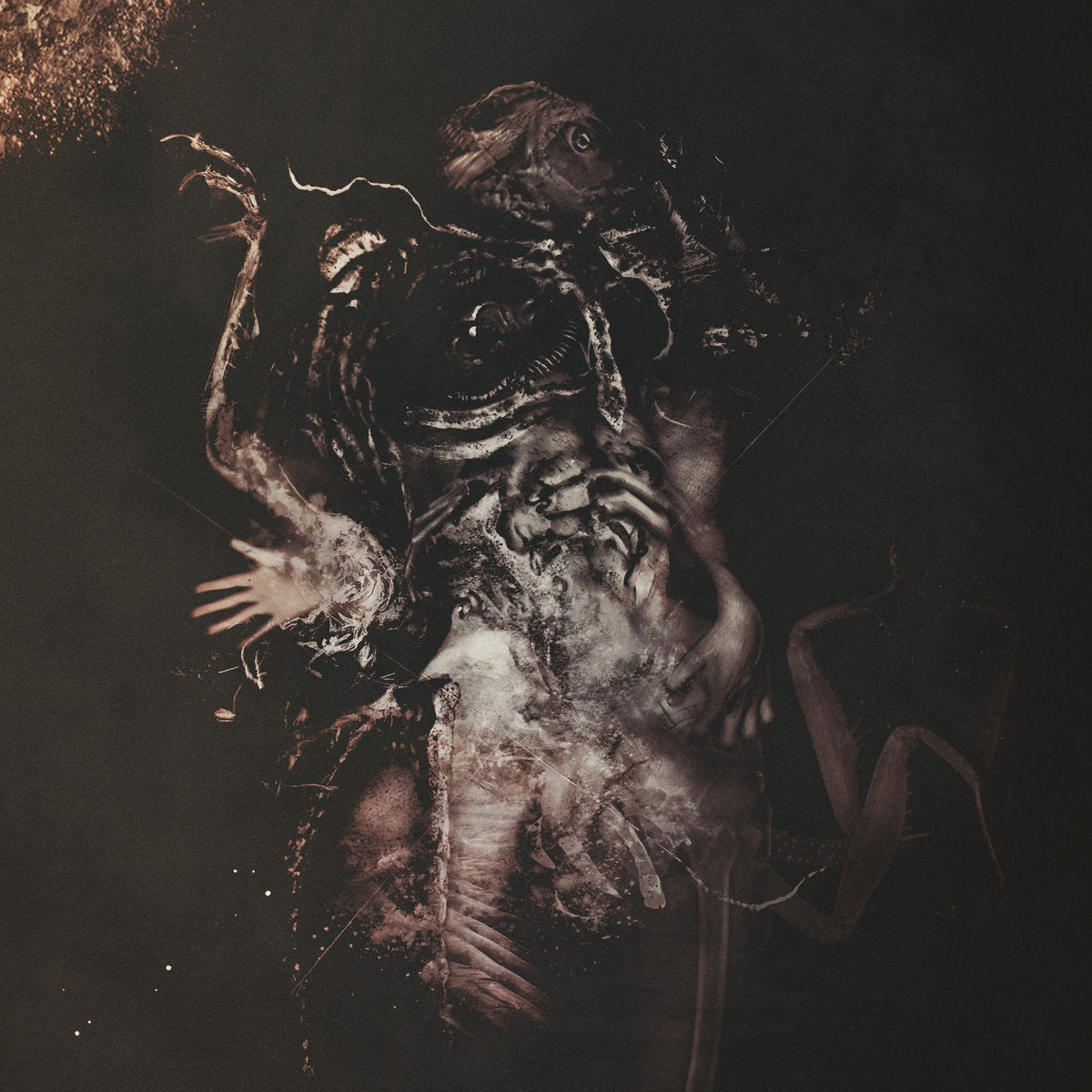 Hasard – Malivore LP